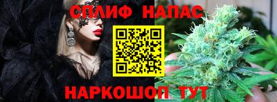 мяу мяу мука Краснознаменск