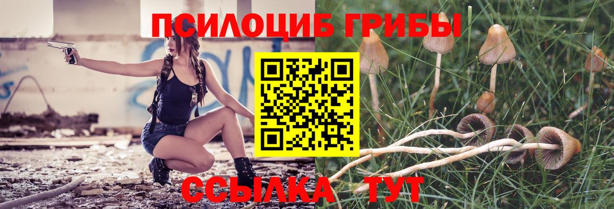 Галлюциногенные грибы Magic Shrooms Лениногорск